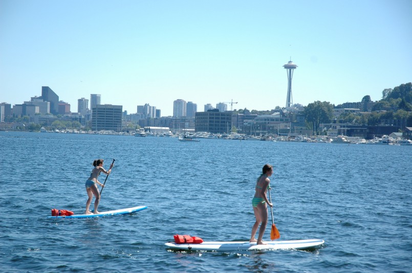 Standing board paddling on a sunny day, Lake Union, Space Needle, South Lake Union view, Gas Works Park, Seattle, Washington, USA