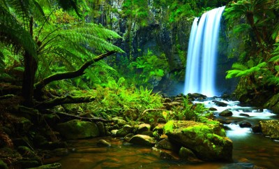 Amazon-Rainforest-Waterfalls