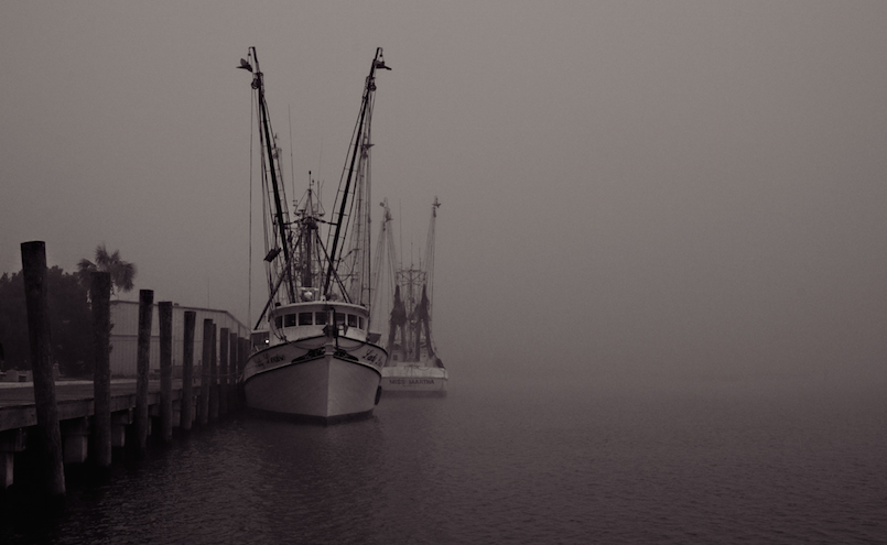 shrimo boats docked in fog