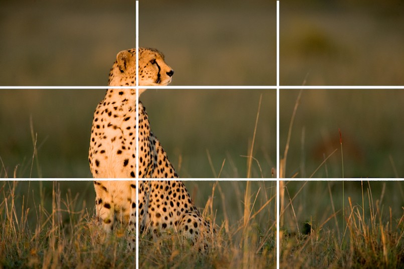 rule of thirds photography