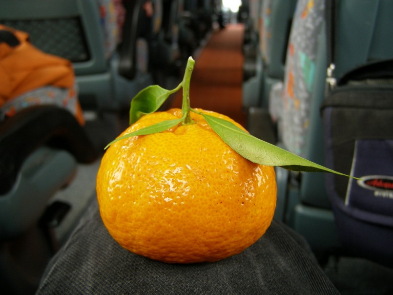 Tangerine on bus