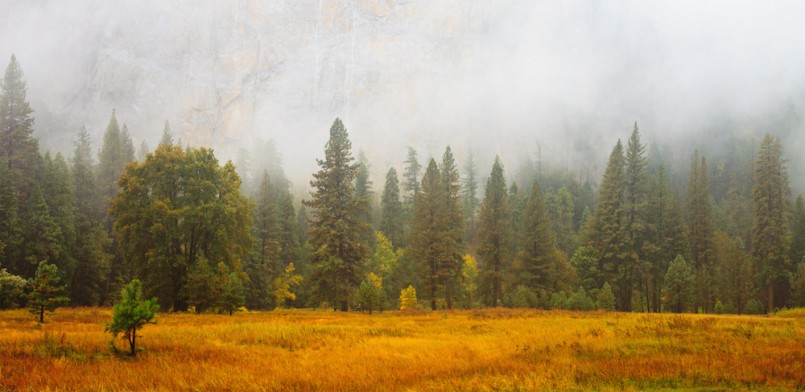 Mist on a rainy day in Yosemite National Park, California.