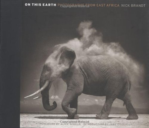 on this earth photographs from east africa