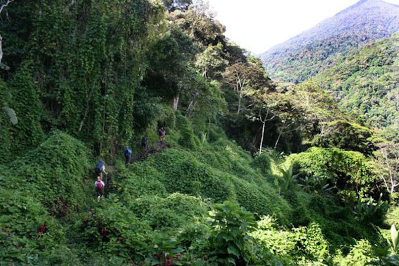 hikers on the Kokoda Track in Papua New Guinea