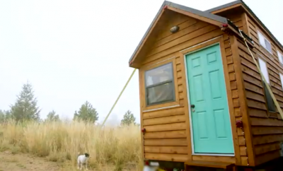 tiny portable house with dog in Boulder, Colorado
