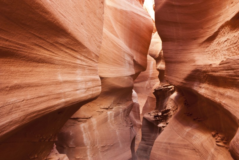 The rock walls form a wave texture in Peek-a-Boo Slot Canyon in Escalante National Monument, Utah