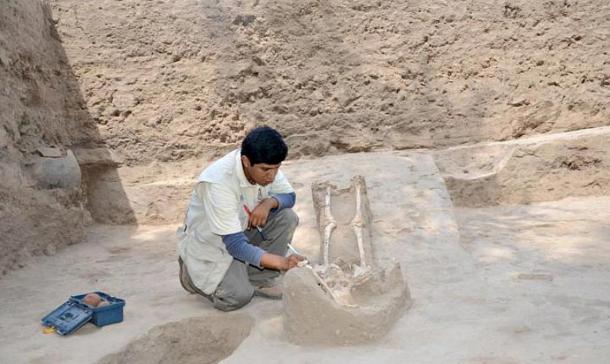 Archaeologist studying ruins in Peru