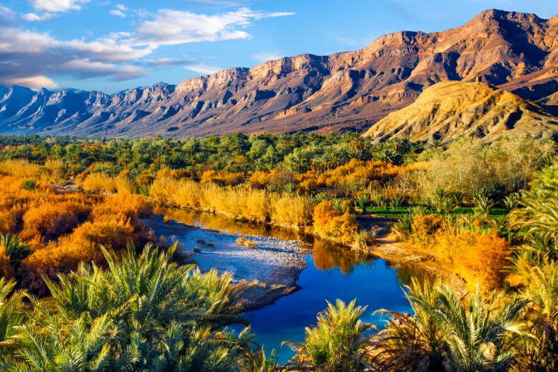 Lush oasis landscape in the Moroccan desert, with date palms and a blue river with reflections. One of the biggest oases in Morocco. Adventure travel