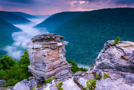 Fog in the Blackwater Canyon at sunset, seen from Lindy Point, Blackwater Falls State Park, West Virginia