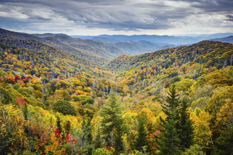 Smoky Mountains National Park, Tennessee, USA autumn landscape at Newfound Gap