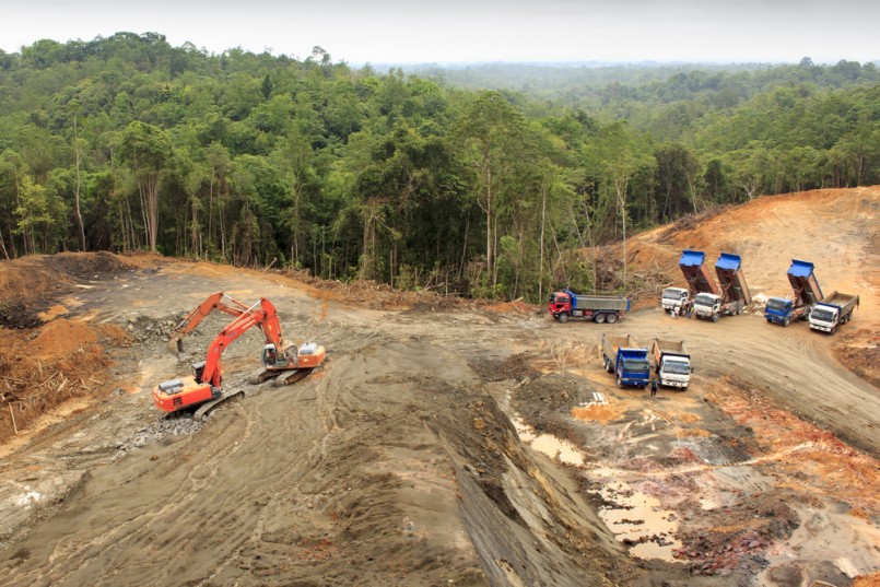 Deforestation. Environmental damage to rainforest in Borneo, nature destroyed for oil palm plantations and construction.