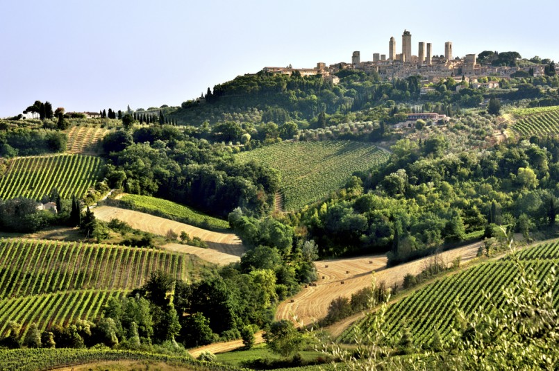 Tuscan landscape with vine yards and fields on hills crowned by the skyline of San Gimignano, Tuscany, Italy