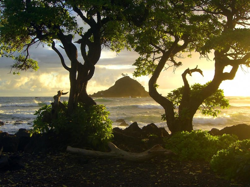 Beautiful Hawaiian sunrise with island and trees on Maui shore – landscape color photo