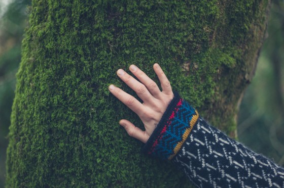 The hand of a young woman touching the moss on a tree in the autumn