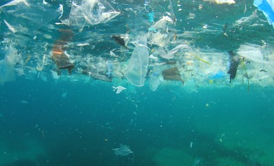 plastic rubbish pollution in ocean environment