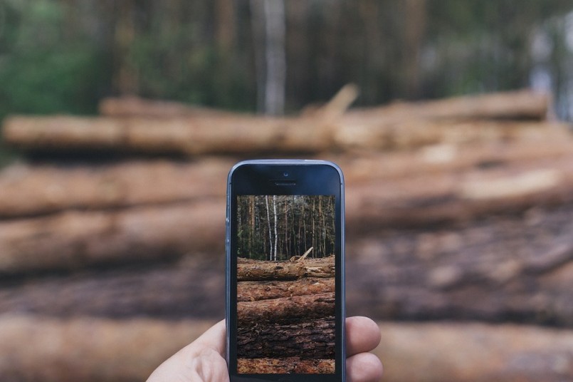 forest-PHONE-technology